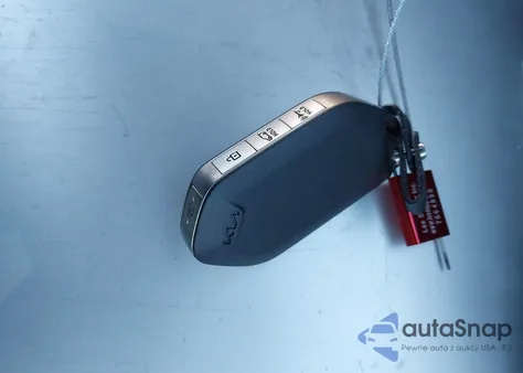 2024 Kia Telluride Sx Prestige X-Pro from USA, damaged, VIN 5XYP5DGC2RG476538